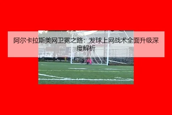 a-er-ka-la-si-mei-wang-wei-mian-zhi-lu-fa-qiu-shang-wang-zhan-shu-quan-mian-sheng-ji-shen-du-jie-xi-3-706.jpg