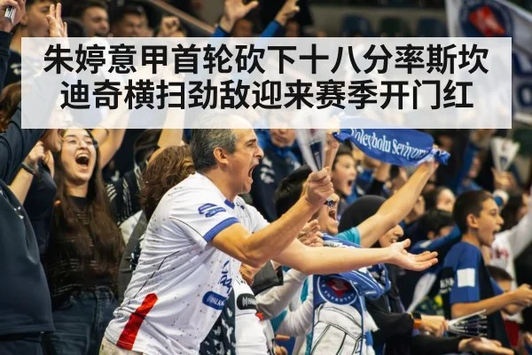 volleyball stadium crowd
